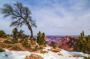 Grand Canyon-9642.jpg